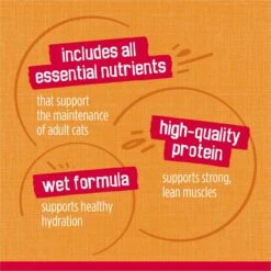 Friskies Prime Filets With Chicken In Gravy Canned Cat Food -Wellness Sales 76391 PT7. AC SS1800 V1700162271