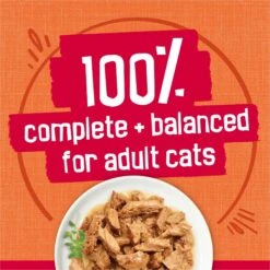 Friskies Prime Filets Chicken & Tuna Dinner In Gravy Canned Cat Food 14 Friskies Prime Filets Chicken & Tuna Dinner In Gravy Canned Cat Food -Wellness Sales 76399 PT5. AC SS1800 V1699371139