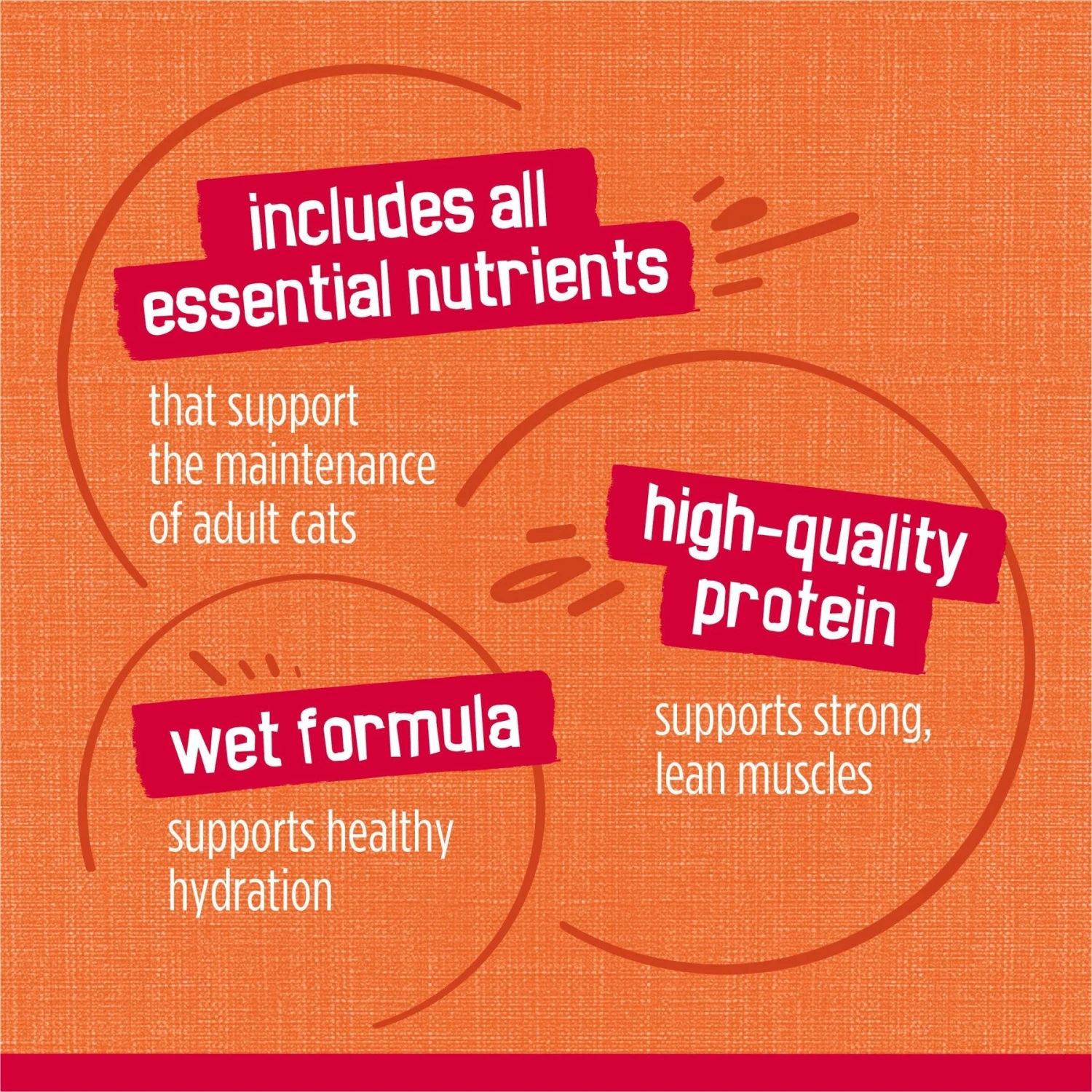 Friskies Prime Filets Chicken & Tuna Dinner In Gravy Canned Cat Food 8 Friskies Prime Filets Chicken & Tuna Dinner In Gravy Canned Cat Food - Image 8