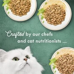 Fancy Feast Medleys Shredded Fare Collection Pack Canned Cat Food 13 Fancy Feast Medleys Shredded Fare Collection Pack Canned Cat Food -Wellness Sales 76517 PT4. AC SS1800 V1666839052