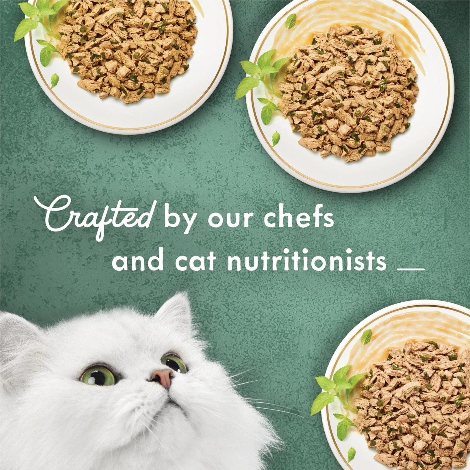 Fancy Feast Medleys Shredded Fare Collection Pack Canned Cat Food 5 Fancy Feast Medleys Shredded Fare Collection Pack Canned Cat Food - Image 5