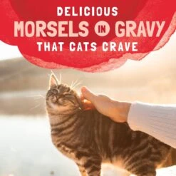 Natural Balance Platefulls Salmon, Tuna & Crab Formula In Gravy Grain-Free Cat Food Pouches -Wellness Sales 76552 PT7. AC SS1800 V1677513850