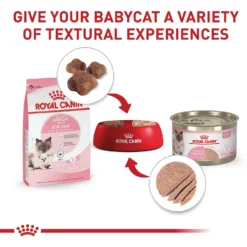 Royal Canin Feline Health Nutrition Mother & Babycat Dry Cat Food -Wellness Sales 774150 PT5. AC SS1800 V1676062713