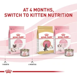 Royal Canin Feline Health Nutrition Mother & Babycat Dry Cat Food -Wellness Sales 774150 PT6. AC SS1800 V1676063251