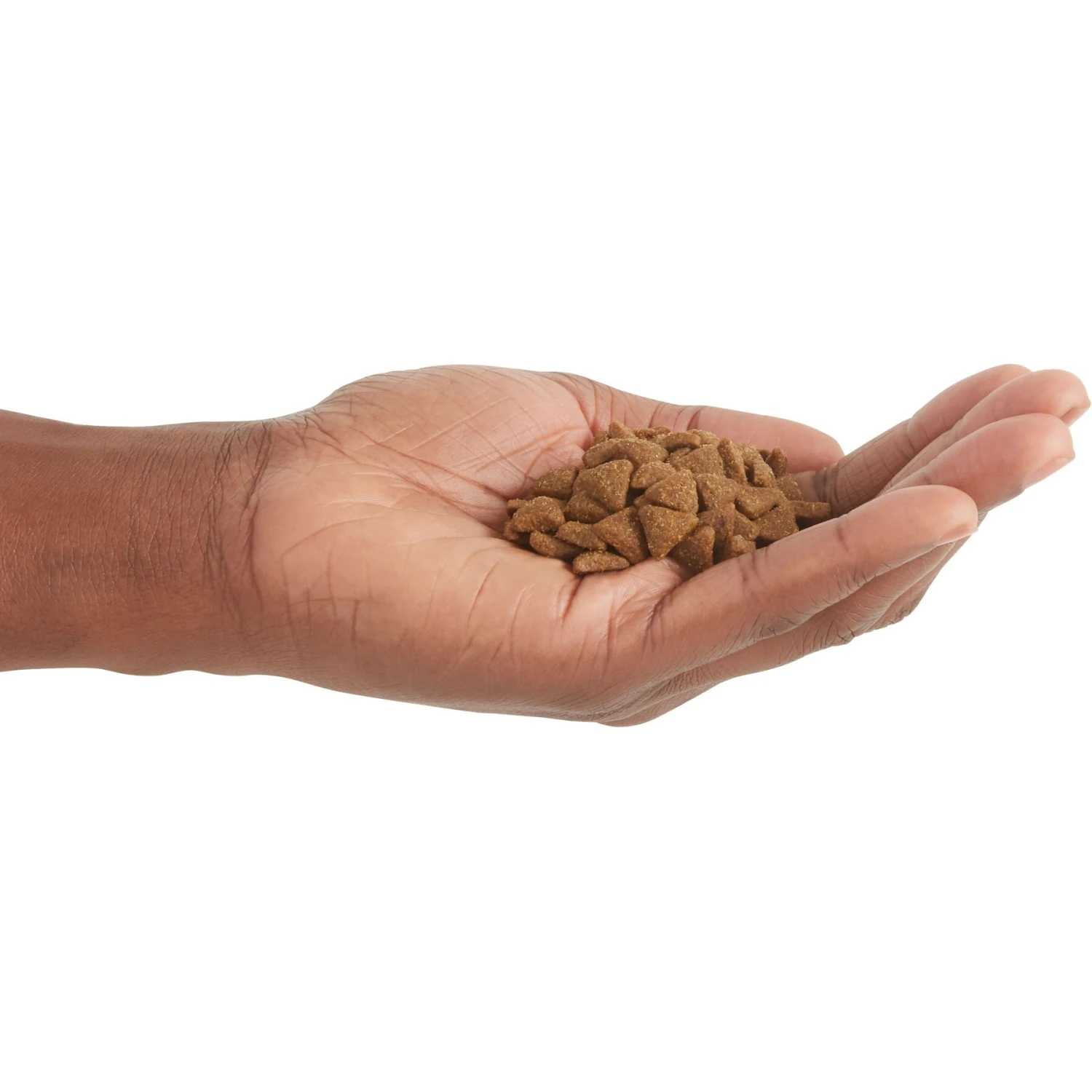 ACANA Lamb + Lamb Liver In Bone Broth Grain-Free Wet Cat Food & ACANA Indoor Entrée Adult Dry Cat Food 9 ACANA Lamb + Lamb Liver In Bone Broth Grain-Free Wet Cat Food & ACANA Indoor Entrée Adult Dry Cat Food - Image 9