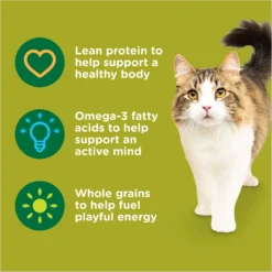 Rachael Ray Nutrish Natural Chicken & Brown Rice Recipe Dry Cat Food -Wellness Sales 77993 PT4. AC SS1800 V1691768584