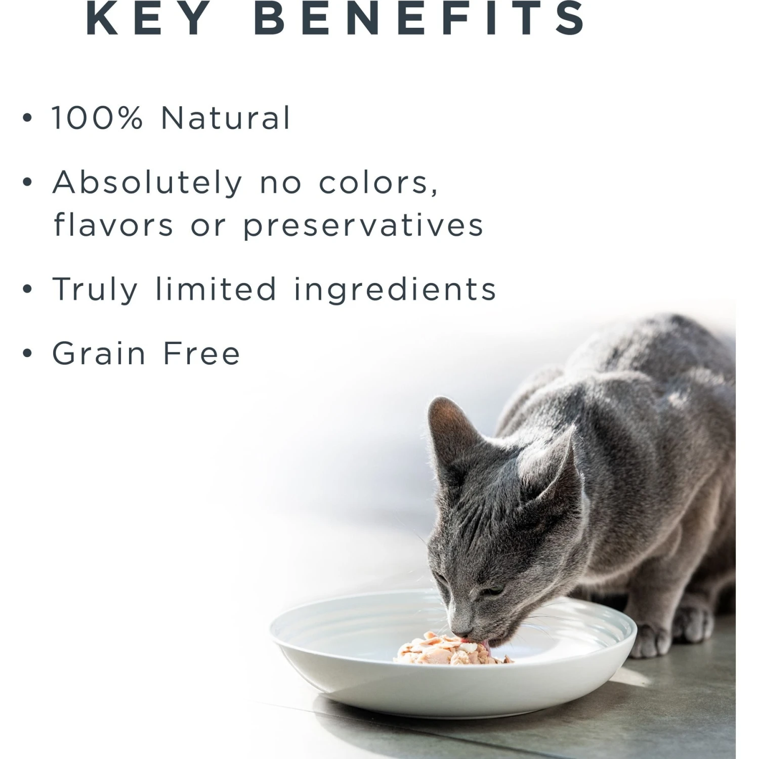 Reveal Natural Grain-Free Fish & Chicken Broth Flavored Variety Pack Wet Cat Food 4 Reveal Natural Grain-Free Fish & Chicken Broth Flavored Variety Pack Wet Cat Food - Image 4