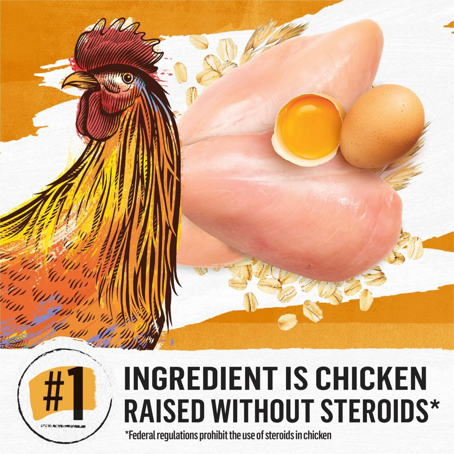 Purina Beyond Simply White Meat Chicken & Whole Oat Meal Recipe Dry Cat Food 3 Purina Beyond Simply White Meat Chicken & Whole Oat Meal Recipe Dry Cat Food - Image 3