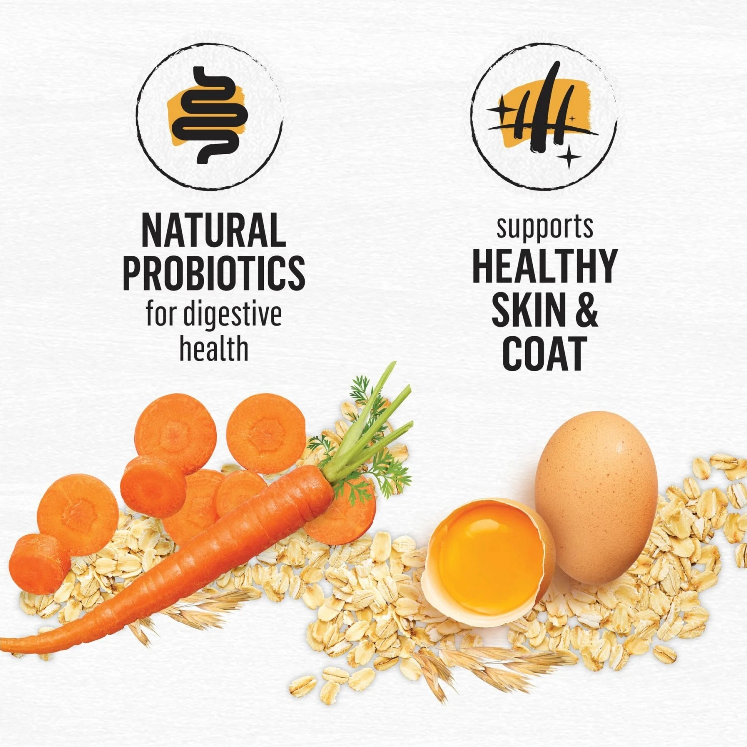 Purina Beyond Simply White Meat Chicken & Whole Oat Meal Recipe Dry Cat Food 5 Purina Beyond Simply White Meat Chicken & Whole Oat Meal Recipe Dry Cat Food - Image 5