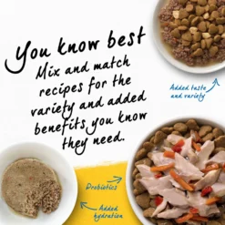 Purina Beyond Simply White Meat Chicken & Whole Oat Meal Recipe Dry Cat Food 15 Purina Beyond Simply White Meat Chicken & Whole Oat Meal Recipe Dry Cat Food -Wellness Sales 79009 PT6. AC SS1800 V1690492489