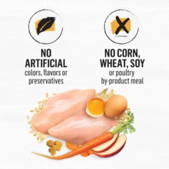 Purina Beyond Simply White Meat Chicken & Whole Oat Meal Recipe Dry Cat Food 17 Purina Beyond Simply White Meat Chicken & Whole Oat Meal Recipe Dry Cat Food -Wellness Sales 79009 PT8. AC SS1800 V1690552307