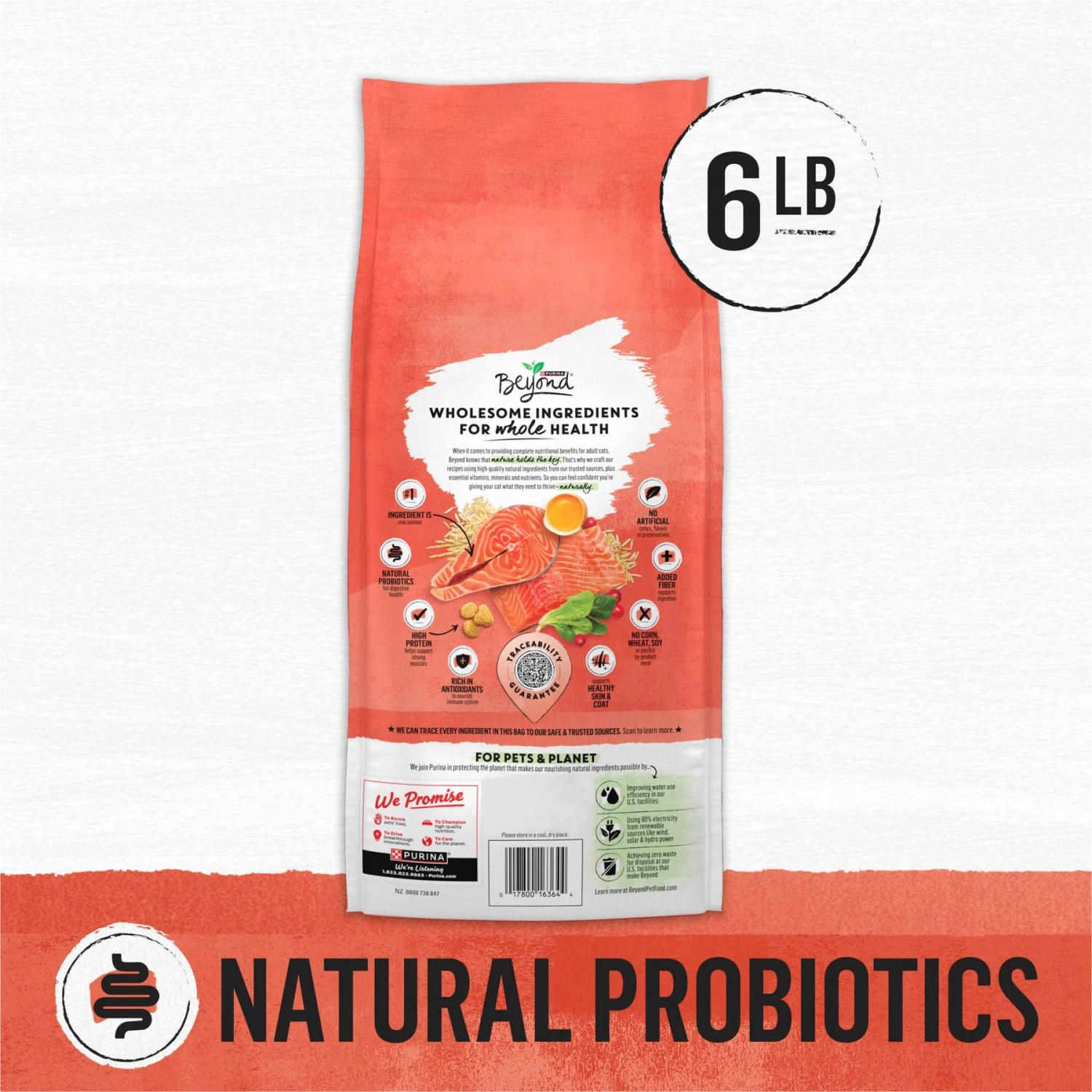 Purina Beyond Simply Salmon & Whole Brown Rice Recipe Dry Cat Food 2 Purina Beyond Simply Salmon & Whole Brown Rice Recipe Dry Cat Food - Image 2