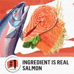 Purina Beyond Simply Salmon & Whole Brown Rice Recipe Dry Cat Food 11 Purina Beyond Simply Salmon & Whole Brown Rice Recipe Dry Cat Food -Wellness Sales 79014 PT2. AC SS1800 V1641256321