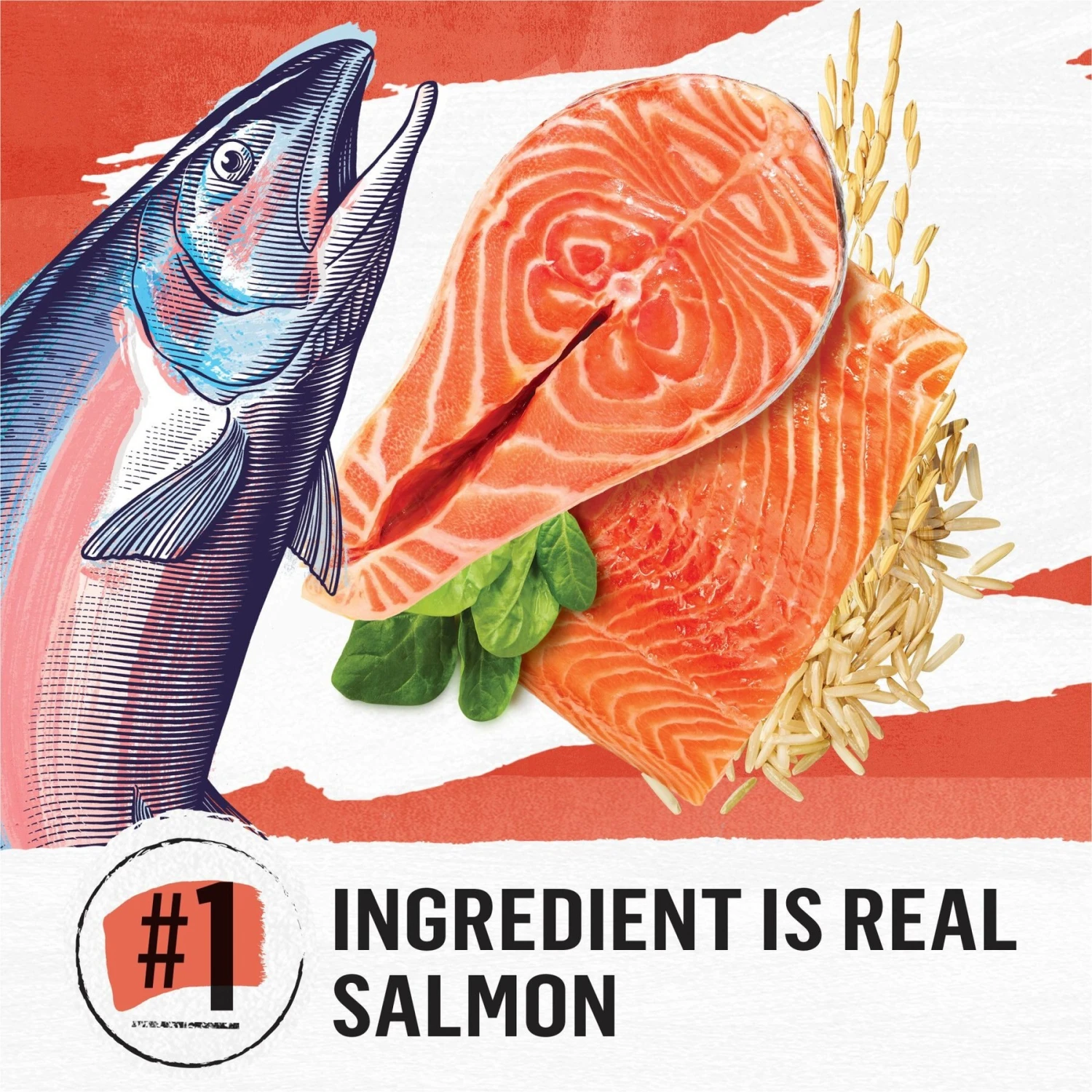 Purina Beyond Simply Salmon & Whole Brown Rice Recipe Dry Cat Food 3 Purina Beyond Simply Salmon & Whole Brown Rice Recipe Dry Cat Food - Image 3