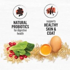 Purina Beyond Simply Salmon & Whole Brown Rice Recipe Dry Cat Food 13 Purina Beyond Simply Salmon & Whole Brown Rice Recipe Dry Cat Food -Wellness Sales 79014 PT4. AC SS1800 V1641262625