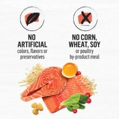 Purina Beyond Simply Salmon & Whole Brown Rice Recipe Dry Cat Food 17 Purina Beyond Simply Salmon & Whole Brown Rice Recipe Dry Cat Food -Wellness Sales 79014 PT8. AC SS1800 V1641252101