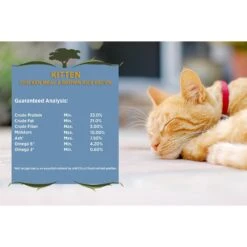 Blackwood Chicken Meal & Rice Recipe Kitten Formula Dry Cat Food 10 Blackwood Chicken Meal & Rice Recipe Kitten Formula Dry Cat Food -Wellness Sales 79087 PT3. AC SS1800 V1550528538