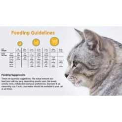 Blackwood Chicken Meal & Rice Recipe Kitten Formula Dry Cat Food 11 Blackwood Chicken Meal & Rice Recipe Kitten Formula Dry Cat Food -Wellness Sales 79087 PT4. AC SS1800 V1550528517