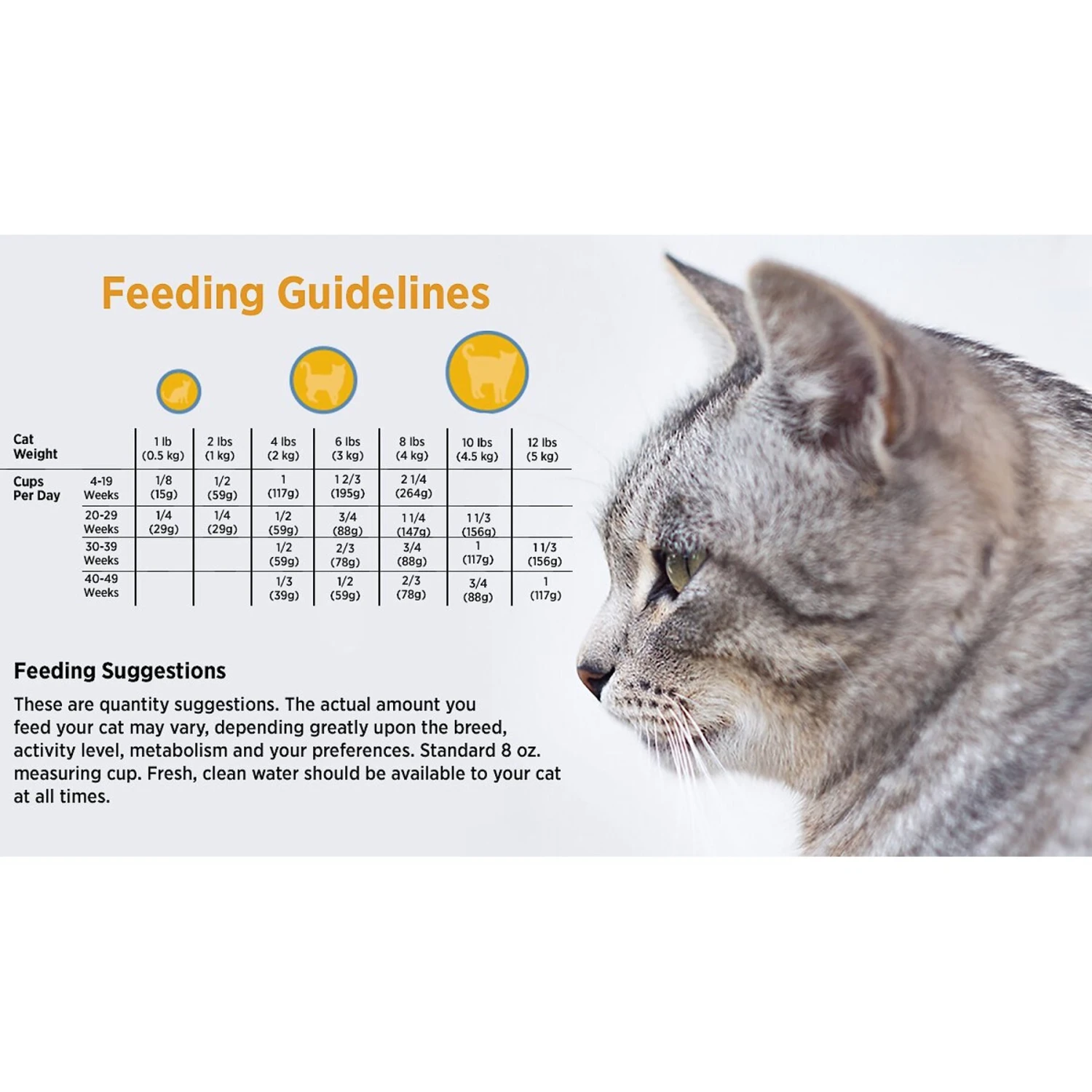 Blackwood Chicken Meal & Rice Recipe Kitten Formula Dry Cat Food 5 Blackwood Chicken Meal & Rice Recipe Kitten Formula Dry Cat Food - Image 5