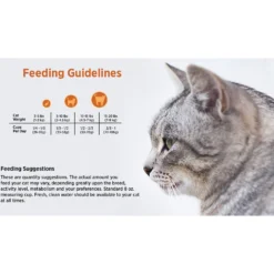 Blackwood Chicken Meal & Rice Recipe Indoor Formula Dry Cat Food -Wellness Sales 79093 PT4. AC SS1800 V1550528541