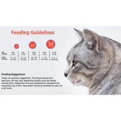 Blackwood Chicken Meal & Field Pea Recipe Grain-Free Dry Cat Food -Wellness Sales 79100 PT4. AC SS1800 V1550528544