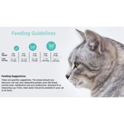 Blackwood Duck Meal, Salmon Meal & Field Pea Grain-Free Dry Cat Food -Wellness Sales 79103 PT4. AC SS1800 V1550528549