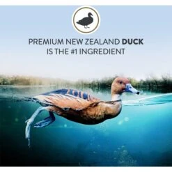 Addiction Duck Royale Grain-Free Dry Cat Food, 10-lb Bag -Wellness Sales 792054 PT3. AC SS1800 V1677597976