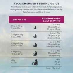 Addiction Duck Royale Grain-Free Dry Cat Food, 10-lb Bag -Wellness Sales 792054 PT8. AC SS1800 V1677597974