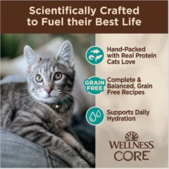 Wellness CORE Signature Select Flaked Sea Variety Pack Wet Cat -Wellness Sales 794838 PT3. AC SS1800 V1679069096