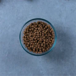 Evolve Classic Deboned Chicken & Brown Rice Recipe Dry Cat Food 13 Evolve Classic Deboned Chicken & Brown Rice Recipe Dry Cat Food -Wellness Sales 79840 PT4. AC SS1800 V1608681135