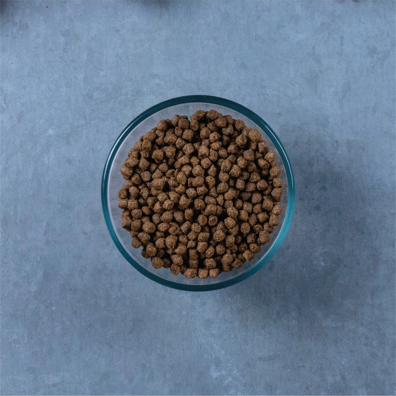 Evolve Classic Deboned Chicken & Brown Rice Recipe Dry Cat Food 5 Evolve Classic Deboned Chicken & Brown Rice Recipe Dry Cat Food - Image 5