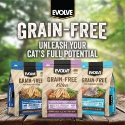 Evolve Chicken, Pea, & Sweet Potato Recipe Kitten Formula Grain-Free Dry Kitten Food 12 Evolve Chicken, Pea, & Sweet Potato Recipe Kitten Formula Grain-Free Dry Kitten Food -Wellness Sales 79842 PT4. AC SS1800 V1608682937