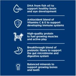 Hill's Science Diet Kitten Dry Ocean Fish & Brown Rice Recipe Dry Cat Food 12 Hill's Science Diet Kitten Dry Ocean Fish & Brown Rice Recipe Dry Cat Food -Wellness Sales 804070 PT3. AC SS1800 V1682950491