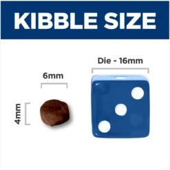 Hill's Science Diet Kitten Dry Ocean Fish & Brown Rice Recipe Dry Cat Food 13 Hill's Science Diet Kitten Dry Ocean Fish & Brown Rice Recipe Dry Cat Food -Wellness Sales 804070 PT4. AC SS1800 V1682950492