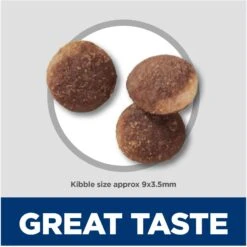 Hill's Science Diet Sensitive Stomach & Sensitive Skin Pollock Meal & Barley Recipe Adult Dry Cat Food -Wellness Sales 819934 PT5. AC SS1800 V1681400031