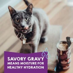 Stella & Chewy's Carnivore Cravings Purrfect Pate Variety Pack Cat Food, 2.8-oz Can, Case Of 12 -Wellness Sales 826078 PT4. AC SS1800 V1683553354