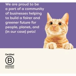 Applaws Variety Of Flavors In Broth Limited Ingredient Canned Wet Cat Food -Wellness Sales 836326 PT6. AC SS1800 V1685472752