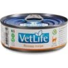 Farmina Vet Life Recoup Recipe Wet Cat Food, 3-oz Can, Case Of 12