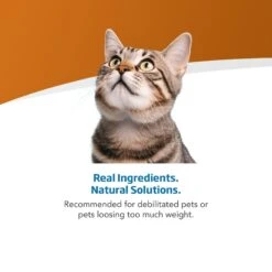 Farmina Vet Life Recoup Recipe Wet Cat Food, 3-oz Can, Case Of 12 10 Farmina Vet Life Recoup Recipe Wet Cat Food, 3-oz Can, Case Of 12 -Wellness Sales 838182 PT3. AC SS1800 V1703880350