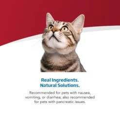 Farmina Vet Life Cat Gastrointestinal Recipe Wet Cat Food -Wellness Sales 838198 PT3. AC SS1800 V1703880289