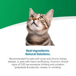 Farmina Vet Life Cat Renal Recipe In Gravy Wet Cat Food -Wellness Sales 838214 PT3. AC SS1800 V1703880289