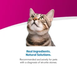 Farmina Vet Life Cat Urinary St/Control Recipe In Gravy Wet Cat Food -Wellness Sales 838230 PT3. AC SS1800 V1703880290