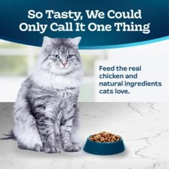 Blue Buffalo Indoor Hairball & Weight Control Chicken & Brown Rice Recipe Adult Dry Cat Food 11 Blue Buffalo Indoor Hairball & Weight Control Chicken & Brown Rice Recipe Adult Dry Cat Food -Wellness Sales 84167 PT2. AC SS1800 V1692644245