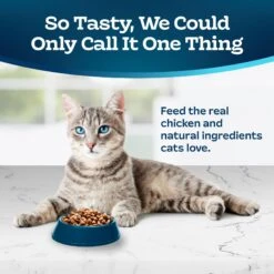 Blue Buffalo Tastefuls Hairball Control Natural Chicken & Brown Rice Recipe Adult 7+ Dry Cat Food 11 Blue Buffalo Tastefuls Hairball Control Natural Chicken & Brown Rice Recipe Adult 7+ Dry Cat Food -Wellness Sales 84170 PT2. AC SS1800 V1692642814