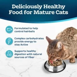 Blue Buffalo Tastefuls Hairball Control Natural Chicken & Brown Rice Recipe Adult 7+ Dry Cat Food 12 Blue Buffalo Tastefuls Hairball Control Natural Chicken & Brown Rice Recipe Adult 7+ Dry Cat Food -Wellness Sales 84170 PT3. AC SS1800 V1692646635