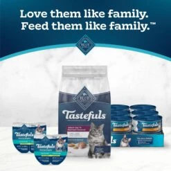 Blue Buffalo Tastefuls Hairball Control Natural Chicken & Brown Rice Recipe Adult 7+ Dry Cat Food 17 Blue Buffalo Tastefuls Hairball Control Natural Chicken & Brown Rice Recipe Adult 7+ Dry Cat Food -Wellness Sales 84170 PT8. AC SS1800 V1692642081
