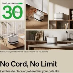 Petlibro Dockstream Battery Operated Cat Water Fountain -Wellness Sales 842454 PT3. AC SS1800 V1684348306