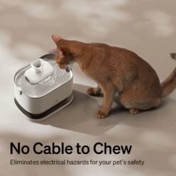Petlibro Dockstream Battery Operated Cat Water Fountain -Wellness Sales 842454 PT6. AC SS1800 V1684348365