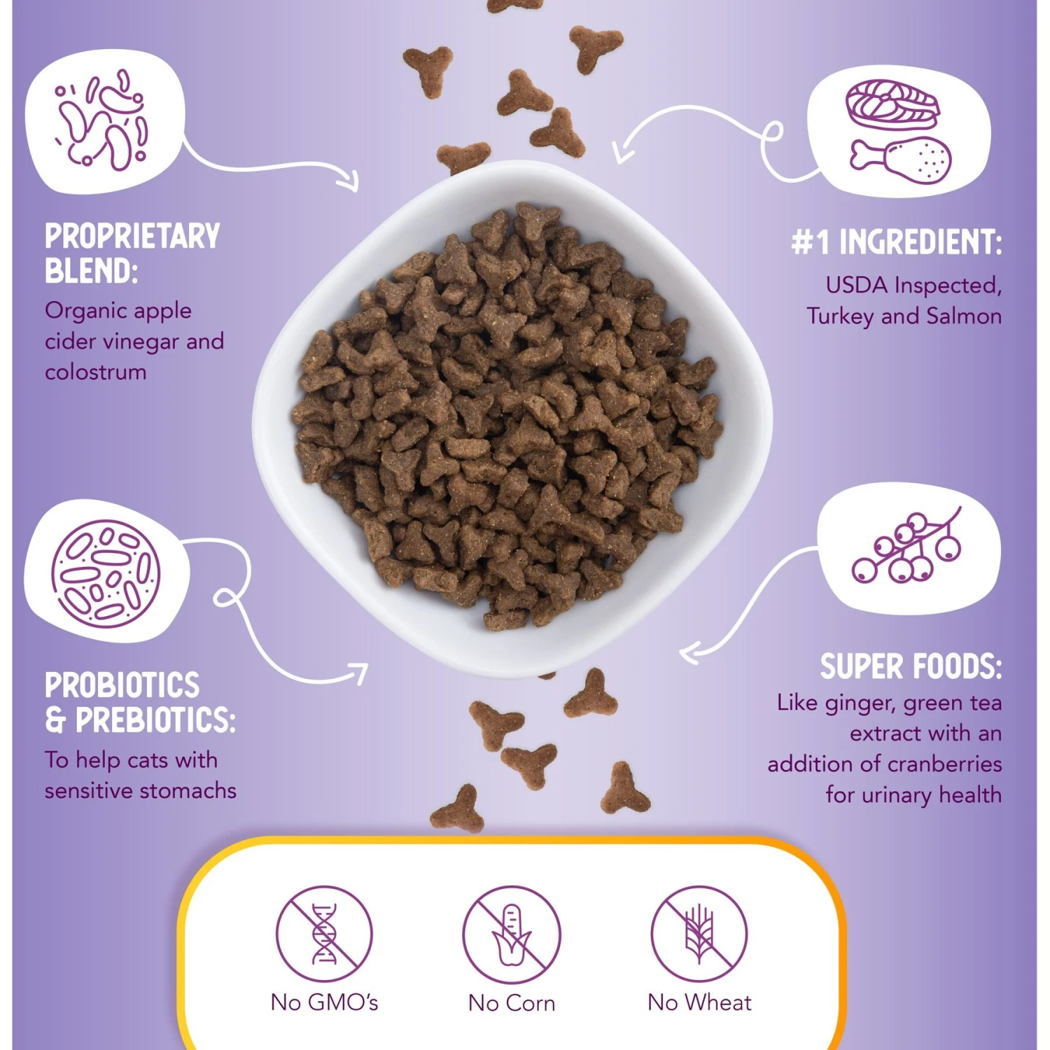 Health Extension Grain-Free Turkey & Salmon Recipe Dry Cat Food 4 Health Extension Grain-Free Turkey & Salmon Recipe Dry Cat Food - Image 4