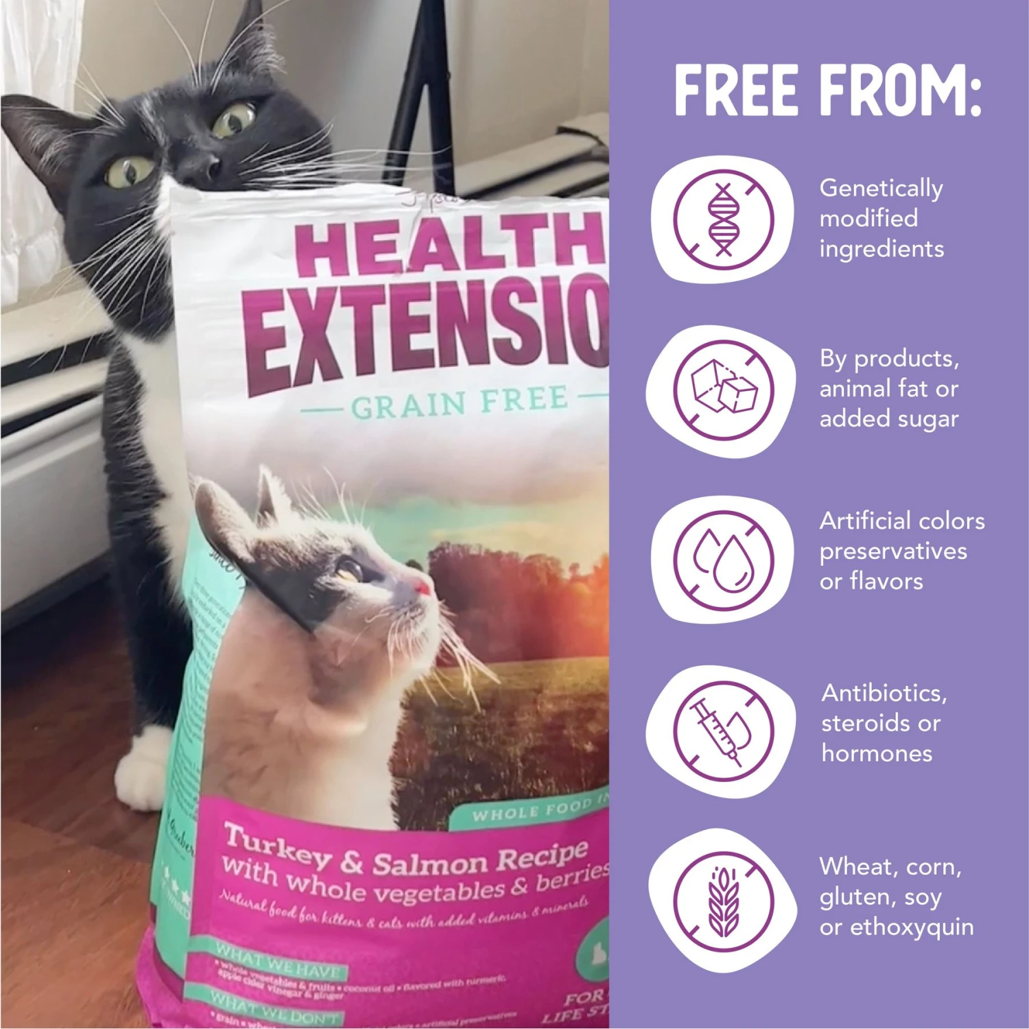 Health Extension Grain-Free Turkey & Salmon Recipe Dry Cat Food 5 Health Extension Grain-Free Turkey & Salmon Recipe Dry Cat Food - Image 5